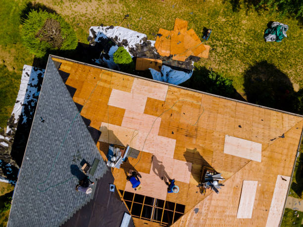 Best Flat Roof Repair Services  in Pinedale, WY