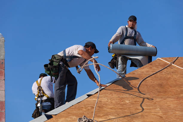 Best Roof Maintenance Services  in Pinedale, WY