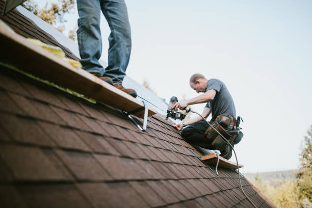 Best Storm Damage Roof Repair  in Pinedale, WY